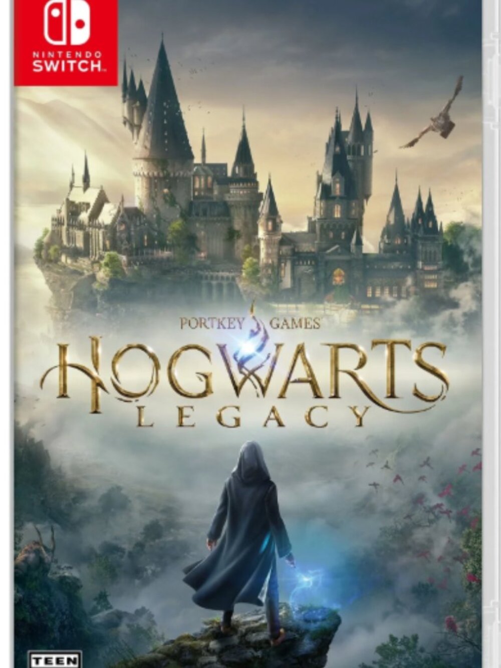 Hogwarts Legacy- Nintendo Switch